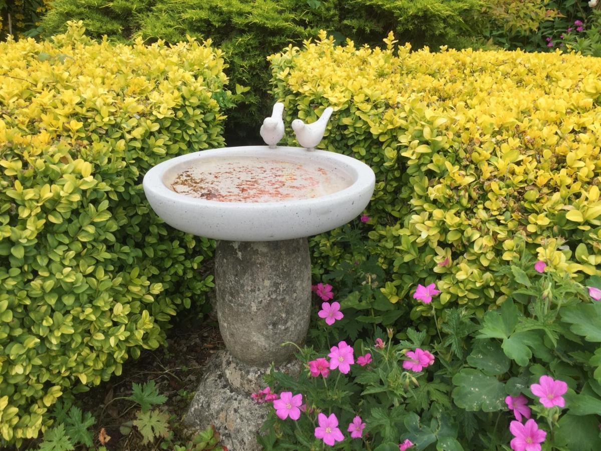 Trekkle Cottage 盖特豪斯厄夫弗利特 外观 照片